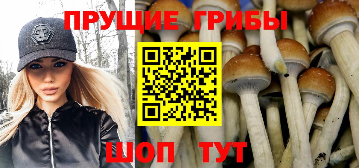 Алапаевск  Псилоцибиновые грибы GOLDEN TEACHER  Вход с VPN 